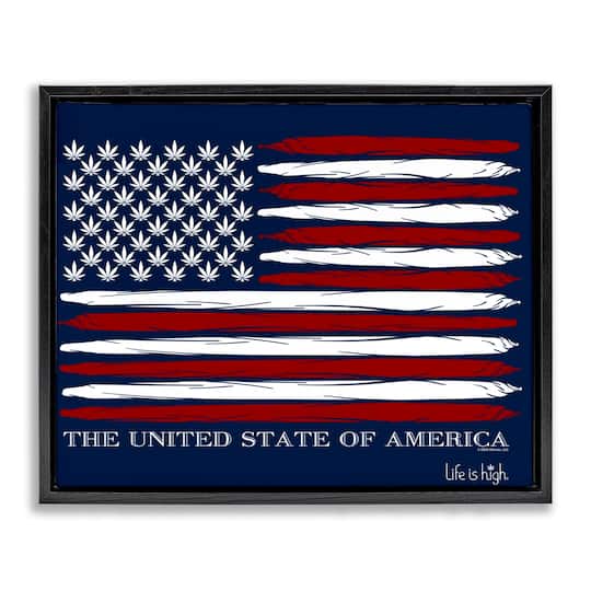 Stupell Industries Herb America Flag Floater Framed Art